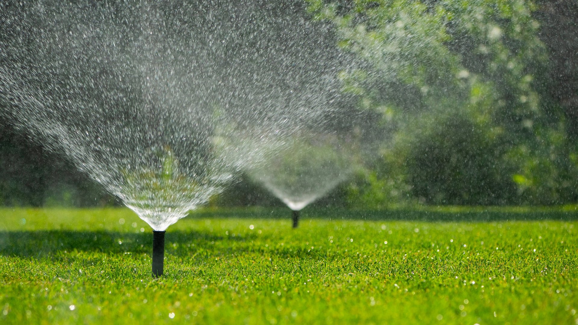 Automatic sprinklers watering a vibrant green lawn