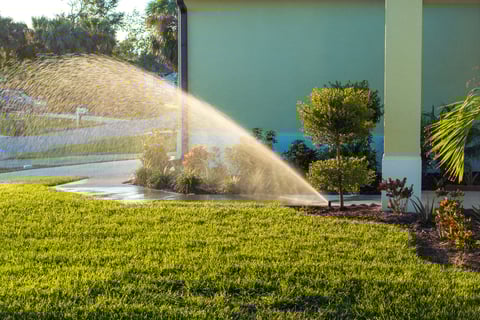 Lawn grass watering with automated sprinkler
