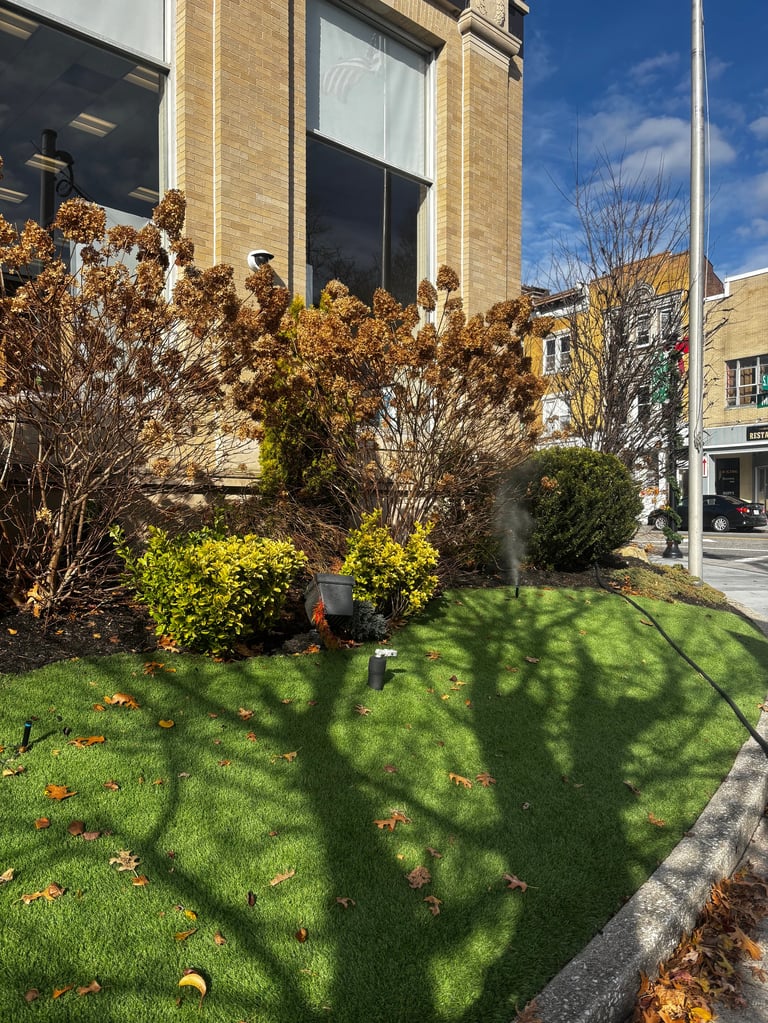 Brick building with landscaped front yard featuring golden shrubs and green lawn on a sunny day